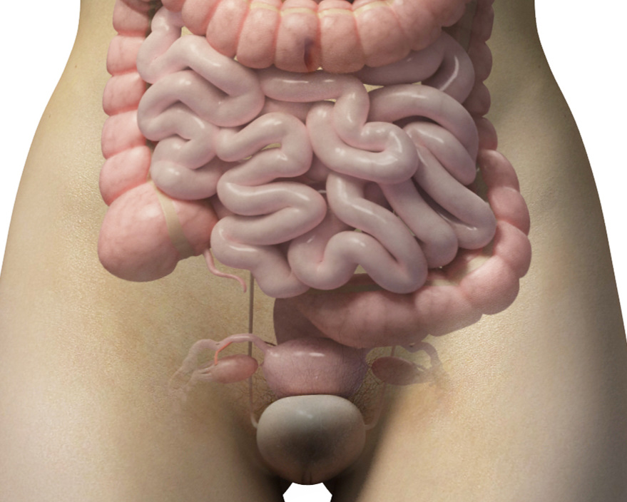 Sanación del Útero